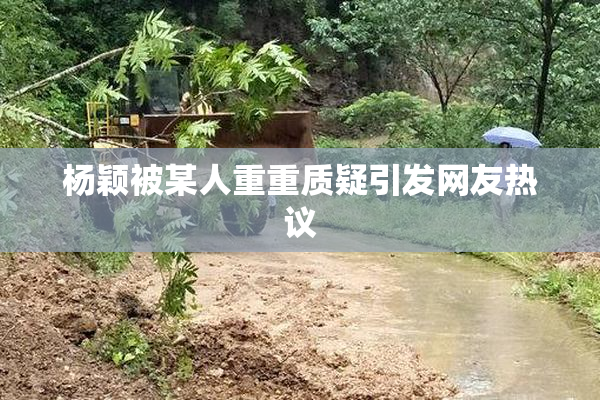 杨颖被某人重重质疑引发网友热议