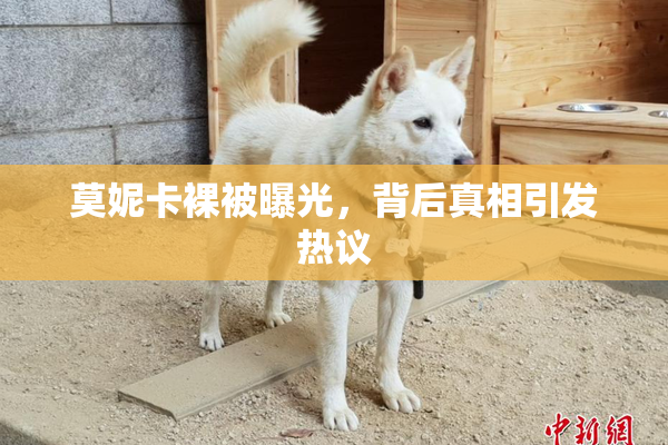 莫妮卡裸被曝光，背后真相引发热议