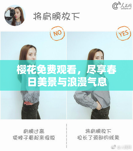 樱花免费观看，尽享春日美景与浪漫气息