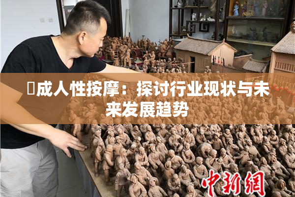 巜成人性按摩：探讨行业现状与未来发展趋势