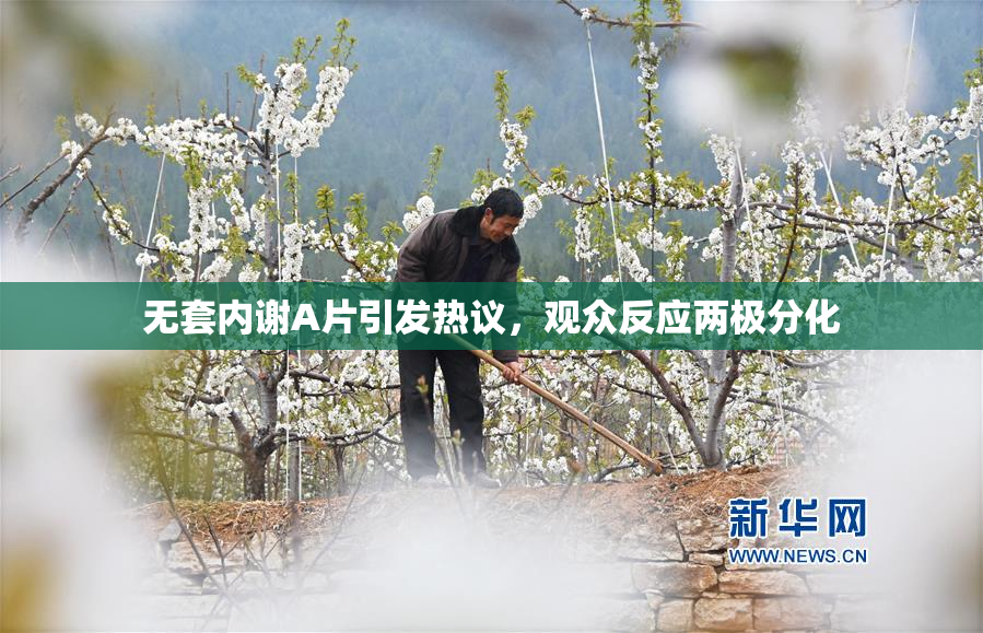 无套内谢A片引发热议，观众反应两极分化
