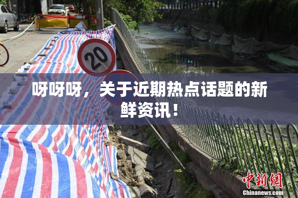 呀呀呀，关于近期热点话题的新鲜资讯！