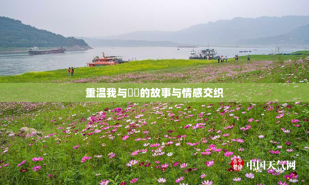 重温我与妺妺的故事与情感交织