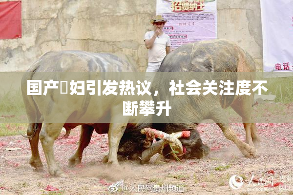 国产婬妇引发热议，社会关注度不断攀升