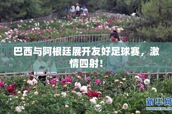 巴西与阿根廷展开友好足球赛，激情四射！