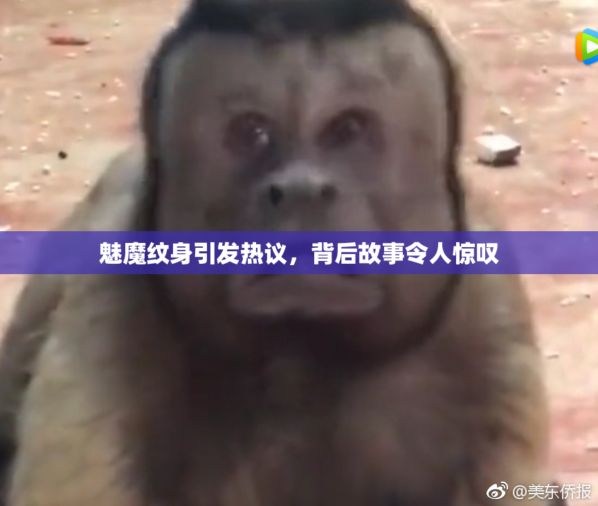 魅魔纹身引发热议，背后故事令人惊叹
