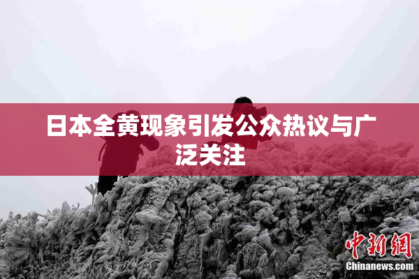 日本全黄现象引发公众热议与广泛关注