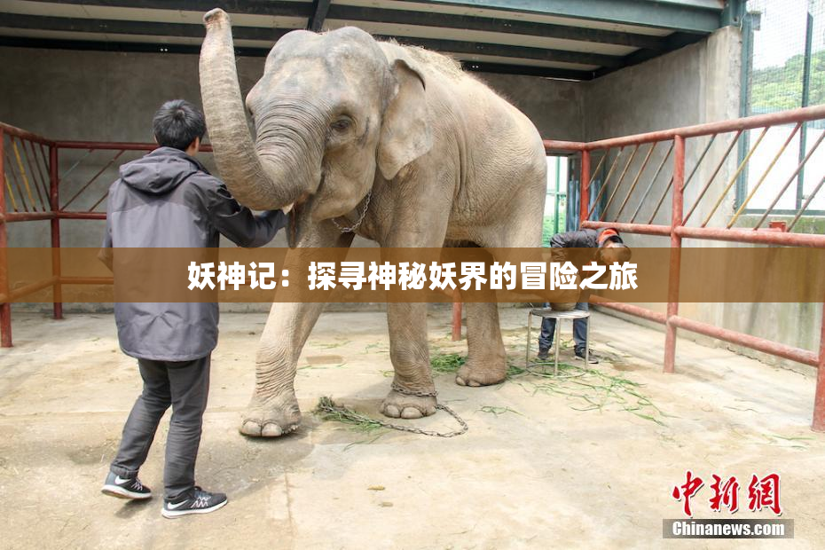 妖神记：探寻神秘妖界的冒险之旅