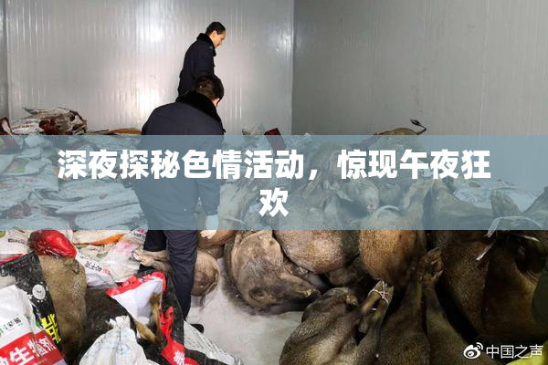 深夜探秘色情活动，惊现午夜狂欢