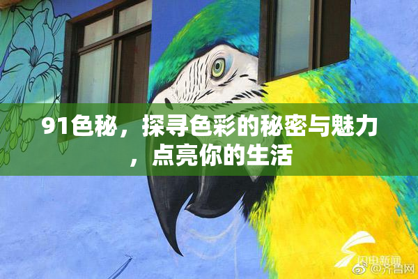 91色秘，探寻色彩的秘密与魅力，点亮你的生活