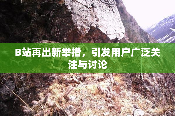 B站再出新举措，引发用户广泛关注与讨论