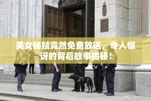 美女秘贼竟然免费放送，令人惊讶的背后故事揭秘！