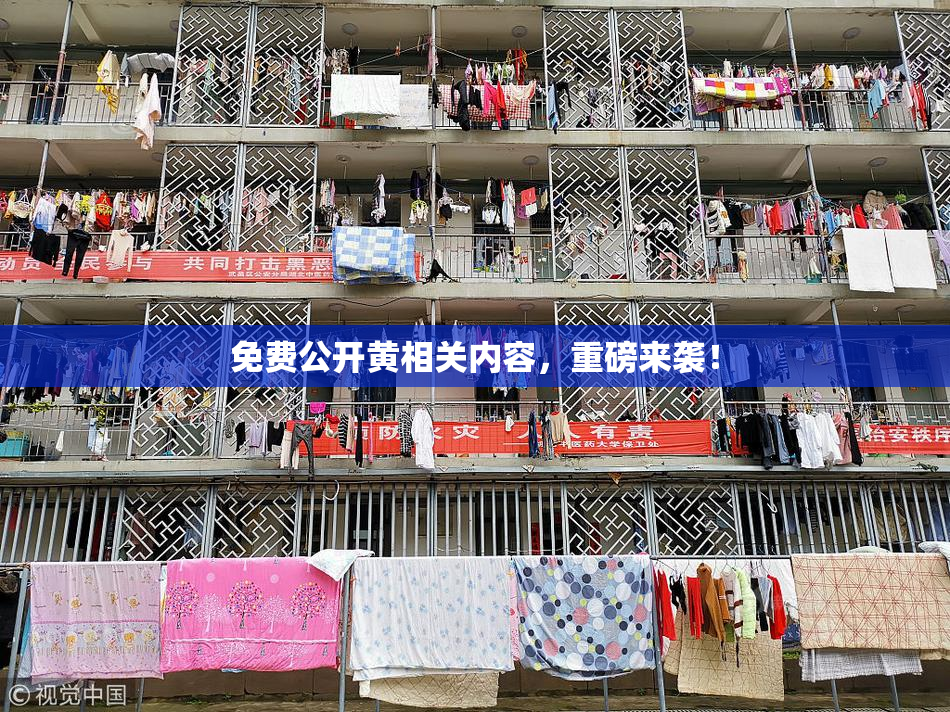 免费公开黄相关内容，重磅来袭！