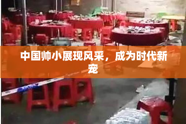 中国帅小展现风采，成为时代新宠