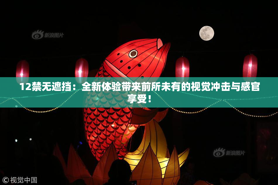12禁无遮挡：全新体验带来前所未有的视觉冲击与感官享受！