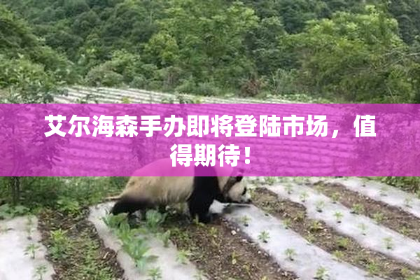 艾尔海森手办即将登陆市场，值得期待！