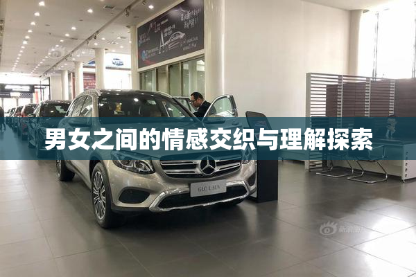 男女之间的情感交织与理解探索