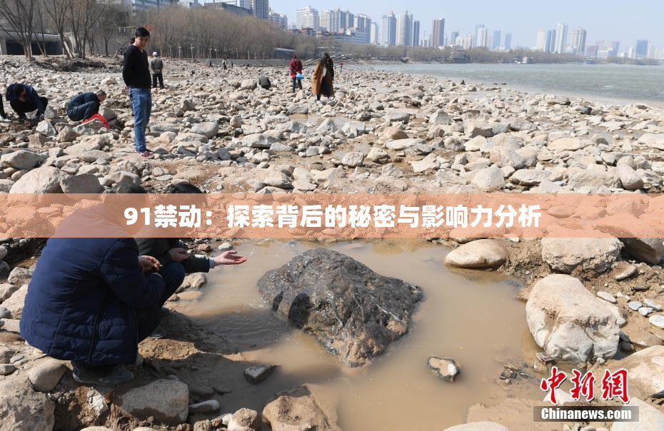 91禁动：探索背后的秘密与影响力分析
