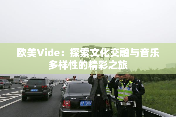欧美Vide：探索文化交融与音乐多样性的精彩之旅