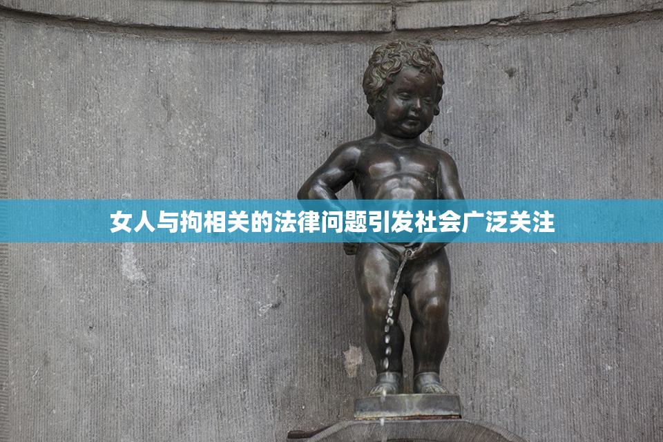 女人与拘相关的法律问题引发社会广泛关注