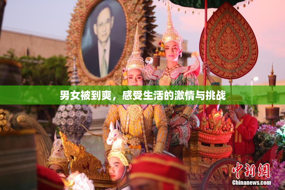 男女被到爽，感受生活的激情与挑战