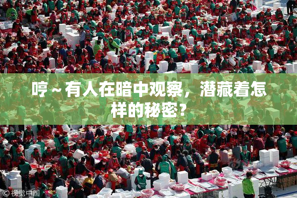 哼～有人在暗中观察，潜藏着怎样的秘密？