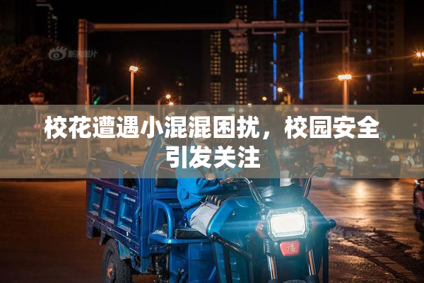 校花遭遇小混混困扰，校园安全引发关注