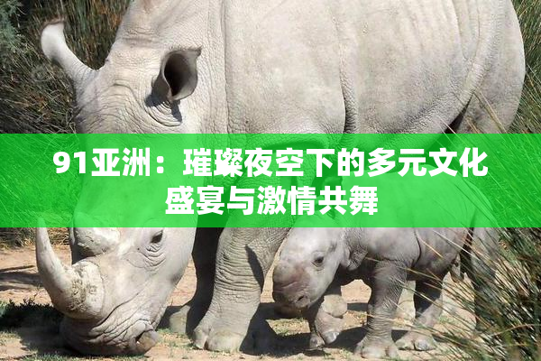 91亚洲：璀璨夜空下的多元文化盛宴与激情共舞