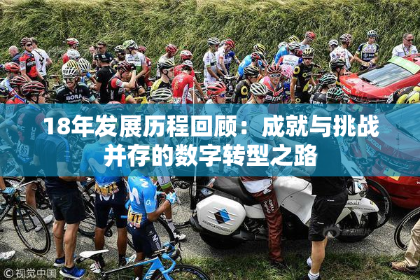 18年发展历程回顾：成就与挑战并存的数字转型之路