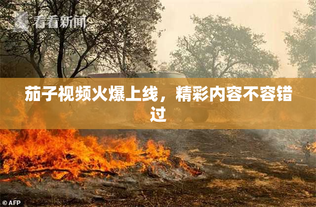 茄子视频火爆上线，精彩内容不容错过