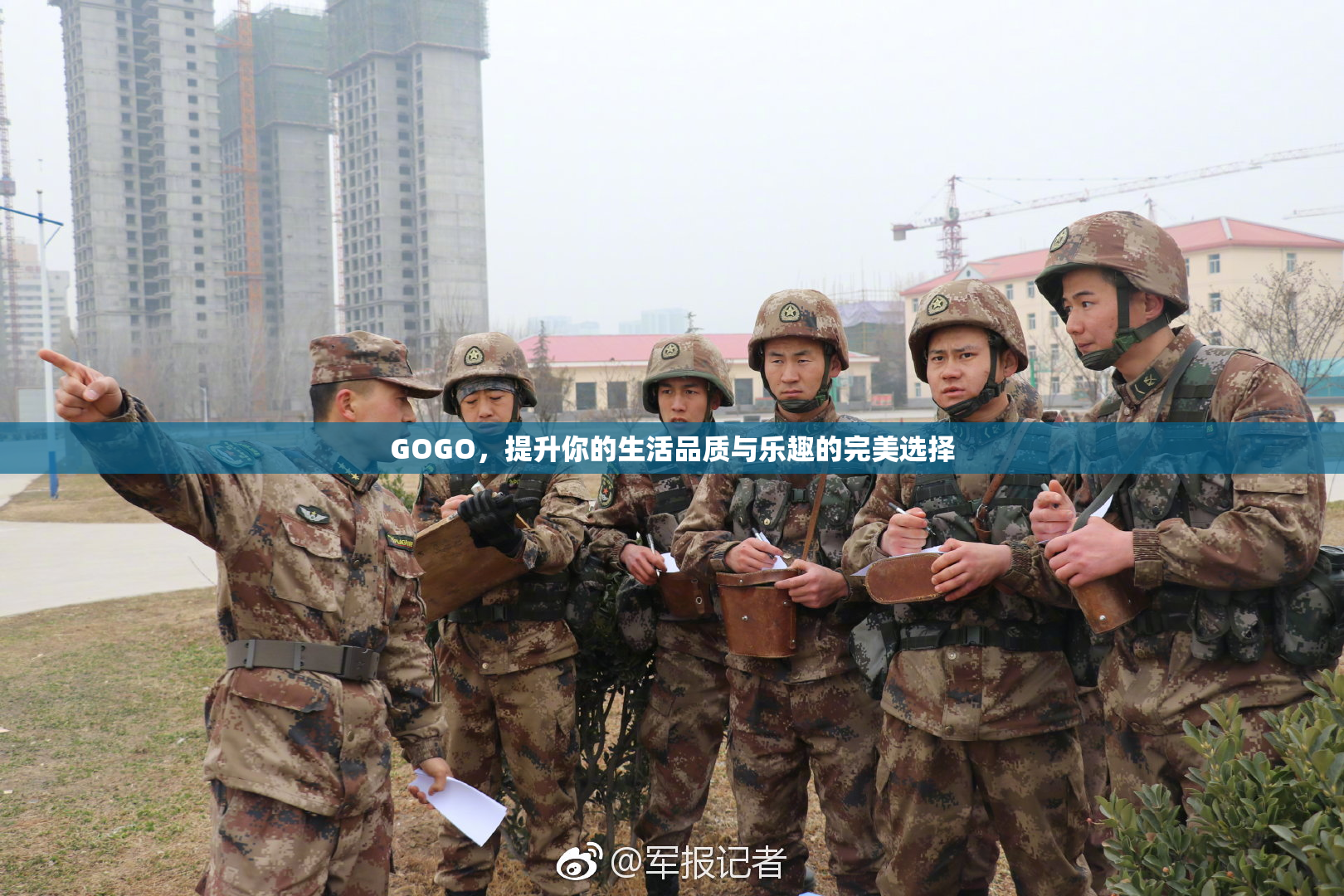 GOGO，提升你的生活品质与乐趣的完美选择