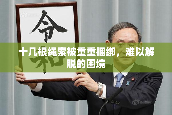 十几根绳索被重重捆绑，难以解脱的困境