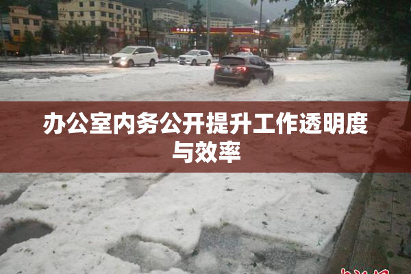 办公室内务公开提升工作透明度与效率