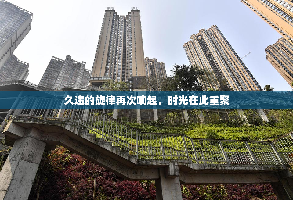 久违的旋律再次响起，时光在此重聚