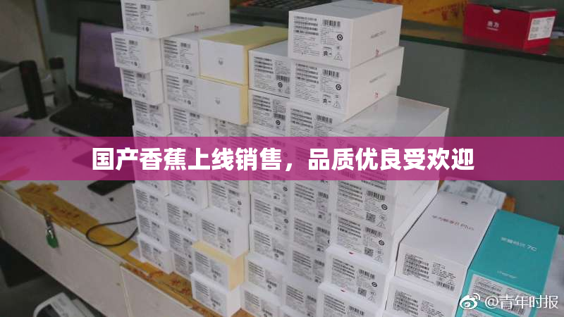 国产香蕉上线销售，品质优良受欢迎