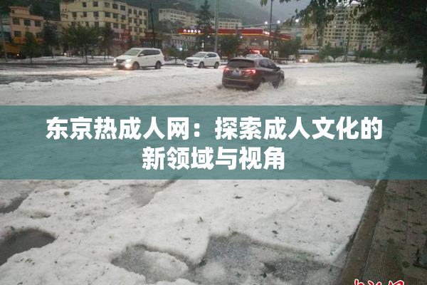 东京热成人网：探索成人文化的新领域与视角