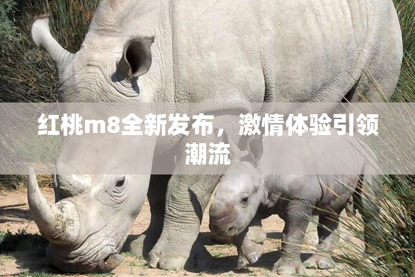 红桃m8全新发布，激情体验引领潮流