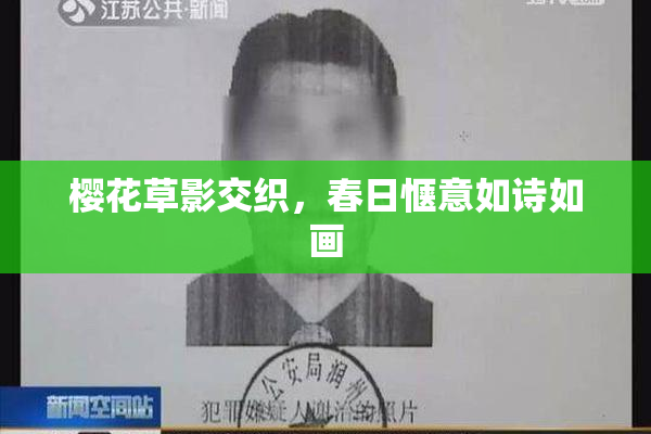 樱花草影交织，春日惬意如诗如画