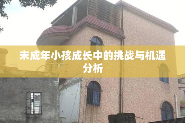 末成年小孩成长中的挑战与机遇分析