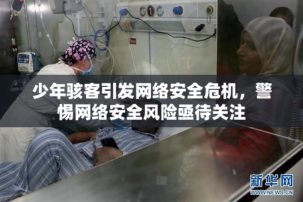 少年骇客引发网络安全危机，警惕网络安全风险亟待关注
