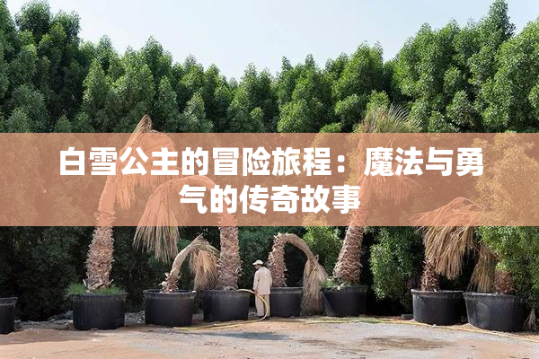 白雪公主的冒险旅程：魔法与勇气的传奇故事