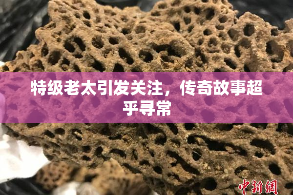 特级老太引发关注，传奇故事超乎寻常