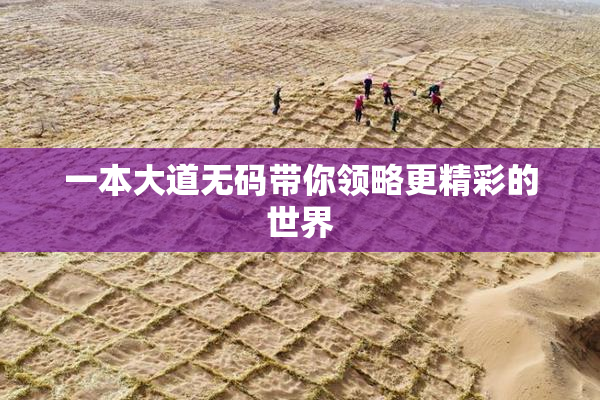 一本大道无码带你领略更精彩的世界