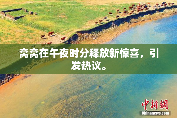 窝窝在午夜时分释放新惊喜，引发热议。