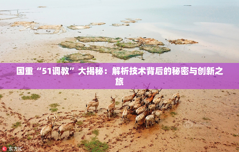 国重“51调教”大揭秘：解析技术背后的秘密与创新之旅