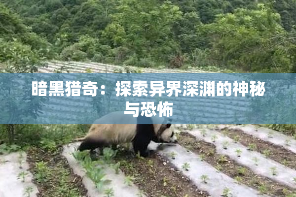 暗黑猎奇：探索异界深渊的神秘与恐怖