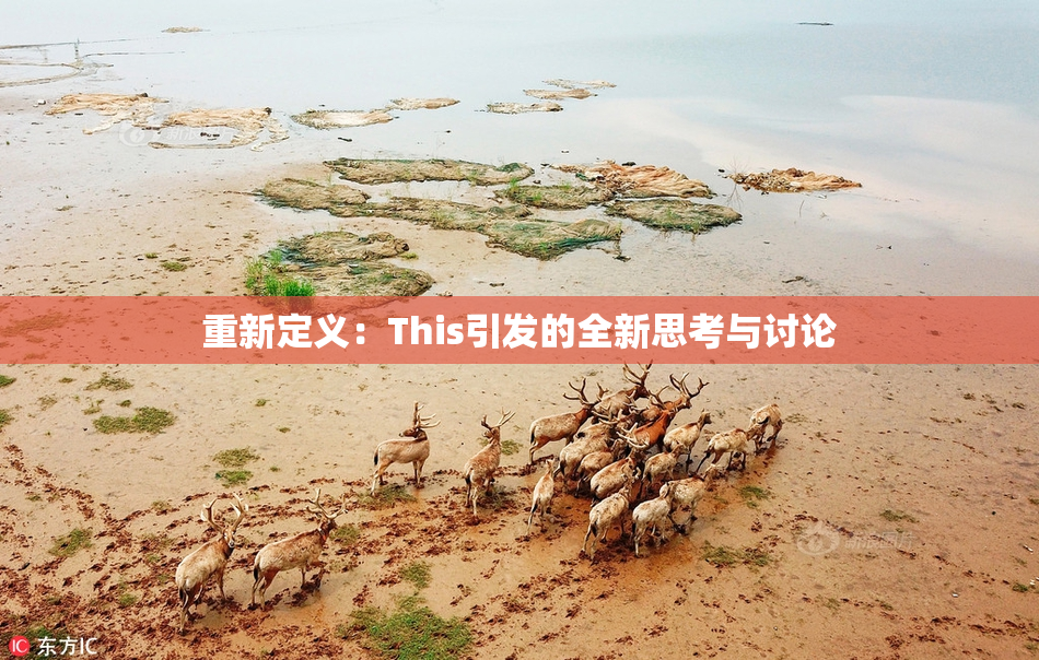 重新定义：This引发的全新思考与讨论