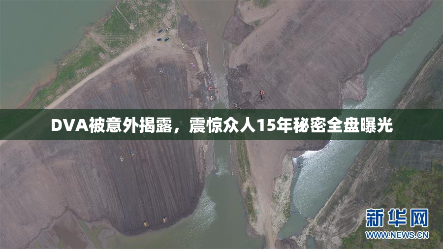 DVA被意外揭露，震惊众人15年秘密全盘曝光
