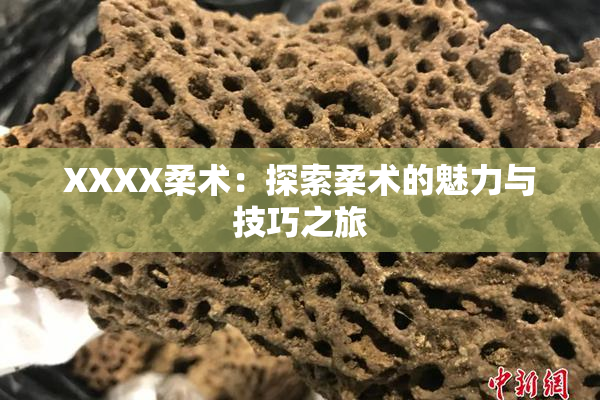 XXXX柔术：探索柔术的魅力与技巧之旅
