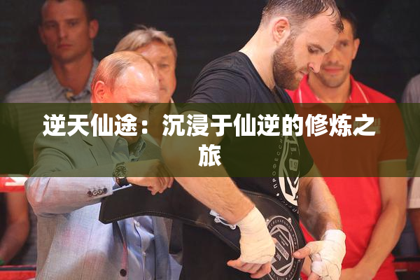 逆天仙途：沉浸于仙逆的修炼之旅
